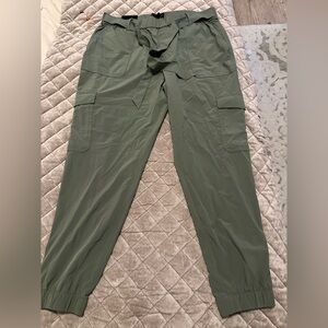Banana Republic Women's Sage Green Joggers